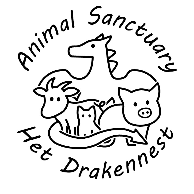 Logo Stichting Sanctuary het Drakennest